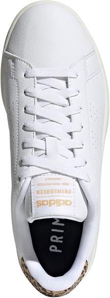 Adidas advantage