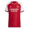 Adidas afc h jsy au