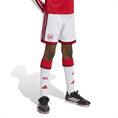 Adidas afc h sho y