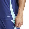 Adidas afc tr jsy