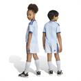 Adidas ajax 3 mini
