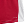 Adidas Ajax Amsterdam 24/25 Baby Thuistenue Kids
