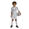 Adidas Ajax Amsterdam 24/25 Derde Mini-Tenue Kids