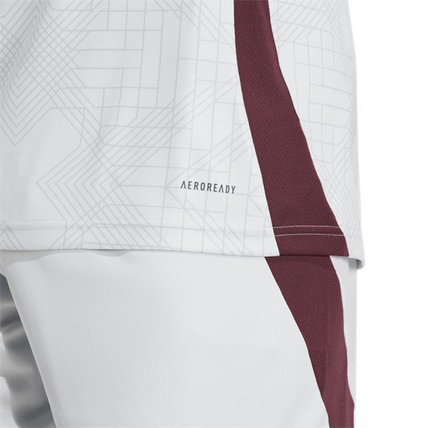 Adidas Ajax Amsterdam 24/25 Derde Shirt