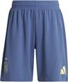 Adidas Ajax Amsterdam 24/25 Mini-Uittenue Kids
