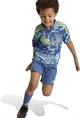 Adidas Ajax Amsterdam 24/25 Mini-Uittenue Kids