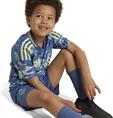 Adidas Ajax Amsterdam 24/25 Mini-Uittenue Kids