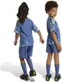Adidas Ajax Amsterdam 24/25 Mini-Uittenue Kids