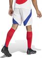 Adidas Ajax Amsterdam 24/25 Uitshort