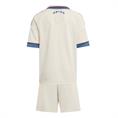Adidas Ajax Amsterdam 25/26 3e Mini Tenue Kids