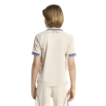 Adidas Ajax Amsterdam 25/26 3e Shirt Kids