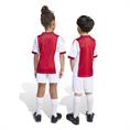 Adidas Ajax Amsterdam 25/26 Mini-Thuistenue Kids