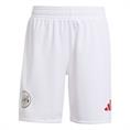 Adidas Ajax Amsterdam 25/26 Mini-Thuistenue Kids