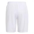 Adidas Ajax Amsterdam 25/26 Mini-Thuistenue Kids