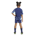Adidas Ajax Amsterdam 25/26 Mini-Uittenue Kids