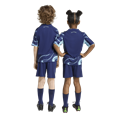 Adidas Ajax Amsterdam 25/26 Mini-Uittenue Kids