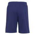 Adidas Ajax Amsterdam 25/26 Mini-Uittenue Kids