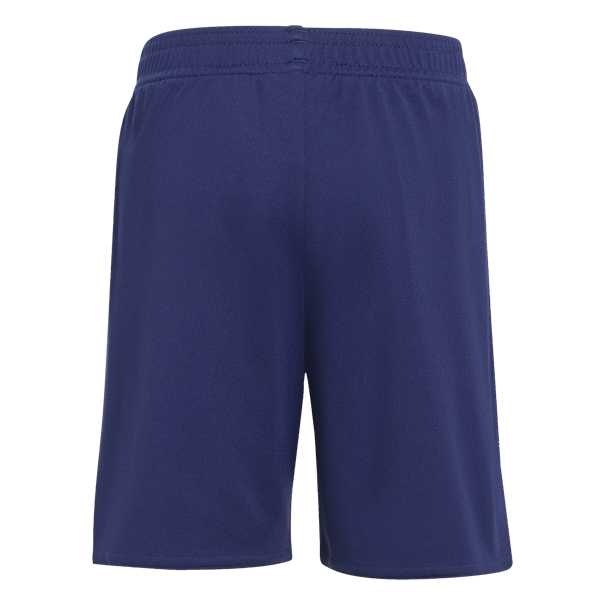 Adidas Ajax Amsterdam 25/26 Mini-Uittenue Kids