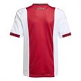 Adidas Ajax Amsterdam 25/26 Thuisshirt Kids