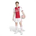 Adidas Ajax Amsterdam 25/26 Thuisshirt