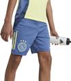 Adidas Ajax Amsterdam Tiro 24 Competition Training Short