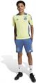 Adidas Ajax Amsterdam Tiro 24 Competition Training Short