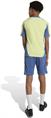 Adidas Ajax Amsterdam Tiro 24 Competition Training Short
