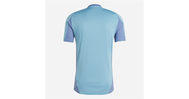 Adidas Ajax Amsterdam Tiro 24 Competition Training Voetba