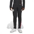 Adidas Ajax Amsterdam Tiro 25 Competition Training Broek