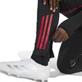 Adidas Ajax Amsterdam Tiro 25 Competition Training Broek