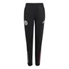 Adidas Ajax Amsterdam Tiro 25 Competition Training Broek