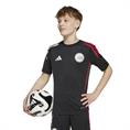 Adidas Ajax Amsterdam Tiro 25 Competition Training