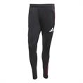 Adidas Ajax Amsterdam Training Broek