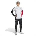 Adidas Ajax Amsterdam Training Broek