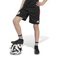Adidas Ajax Amsterdam Training Short Kids