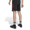 Adidas Ajax Amsterdam Training Short Kids