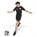 Adidas Ajax Amsterdam Training Short Kids