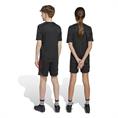 Adidas Ajax Amsterdam Training Short Kids