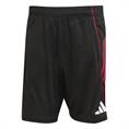Adidas Ajax Amsterdam Training Short