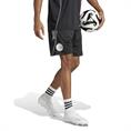 Adidas Ajax Amsterdam Training Short