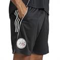 Adidas Ajax Amsterdam Training Short