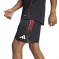 Adidas Ajax Amsterdam Training Short