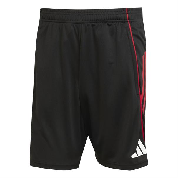 Adidas Ajax Amsterdam Training Short
