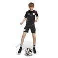 Adidas Ajax Amsterdam Training Voetbalshirt Kids