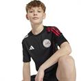 Adidas Ajax Amsterdam Training Voetbalshirt Kids