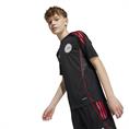Adidas Ajax Amsterdam Training Voetbalshirt Kids