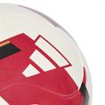 Adidas ajax clb home
