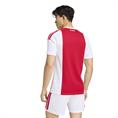 Adidas ajax h jsy