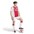 Adidas ajax h jsy