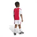 Adidas ajax h mini